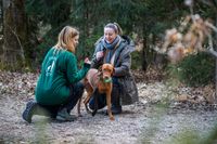 Individual dog coaching in Munich