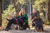 Buddytraining mit Hundetrainerin Ther&eacute;s